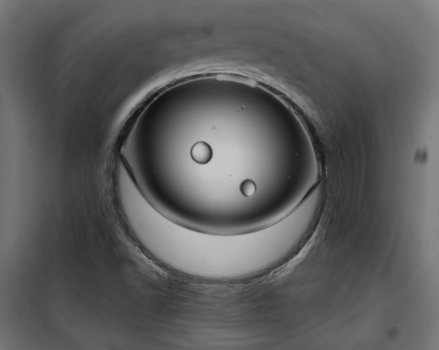 X0000100471502200806201554