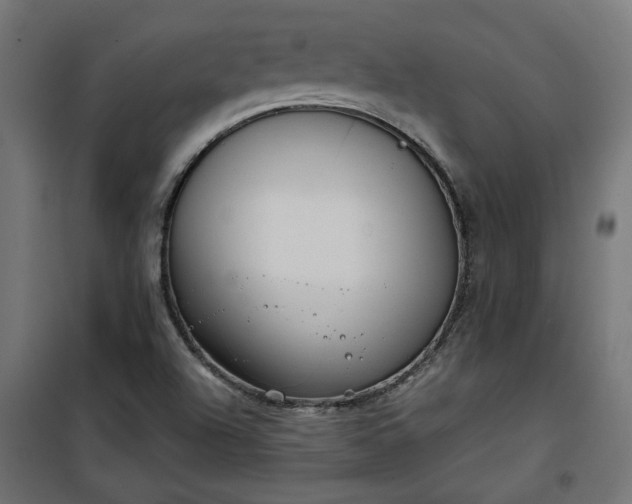 X0000100471504200806201554