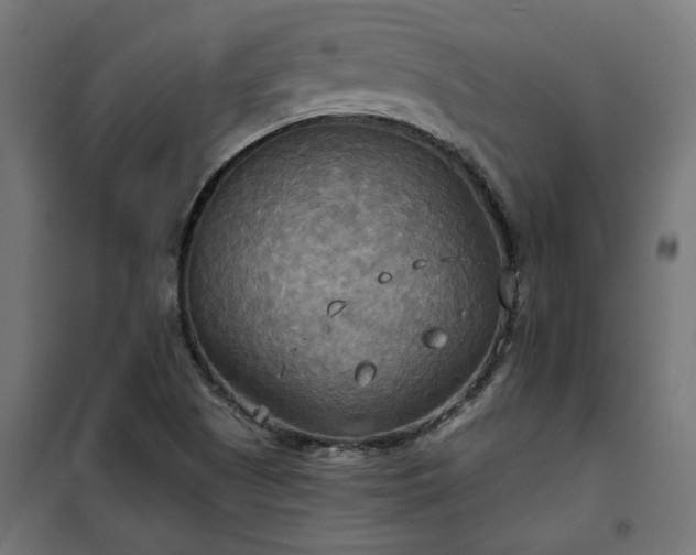 X0000100471505200806201554