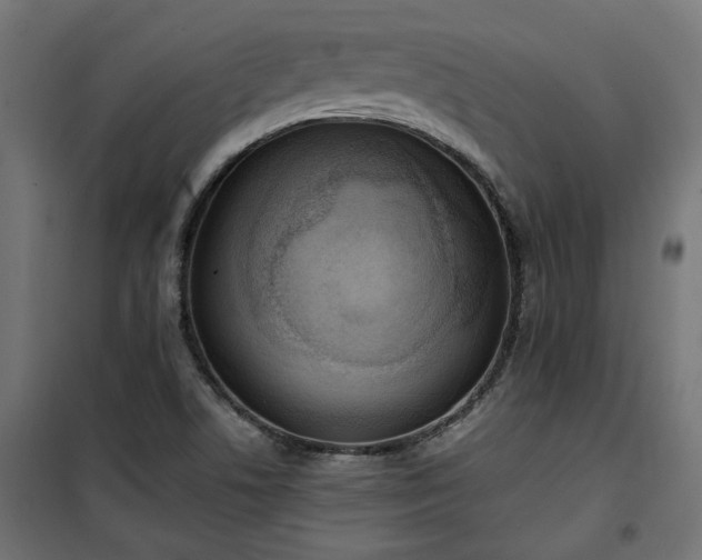 X0000100471506200806201554