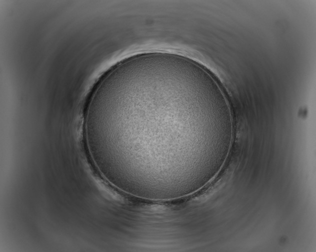 X0000100471507200806201554