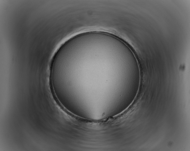 X0000100471508200806201554