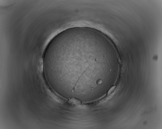 X0000100471509200806201554