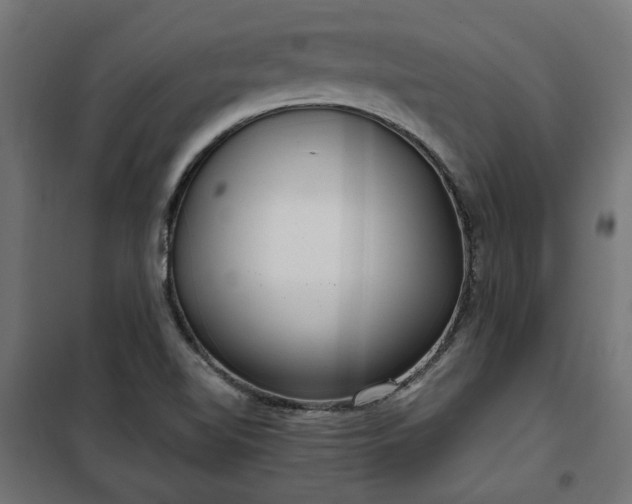 X0000100471510200806201554