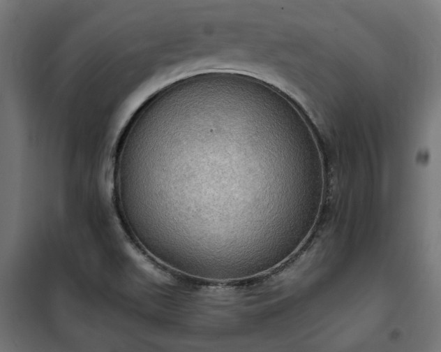 X0000100471511200806201554