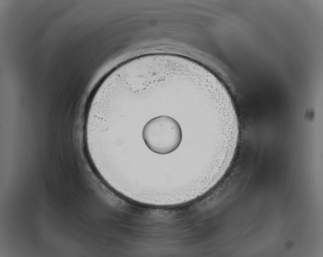 X0000100471514200806201555