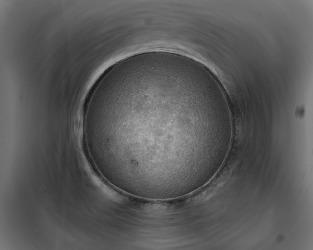 X0000100471515200806201555