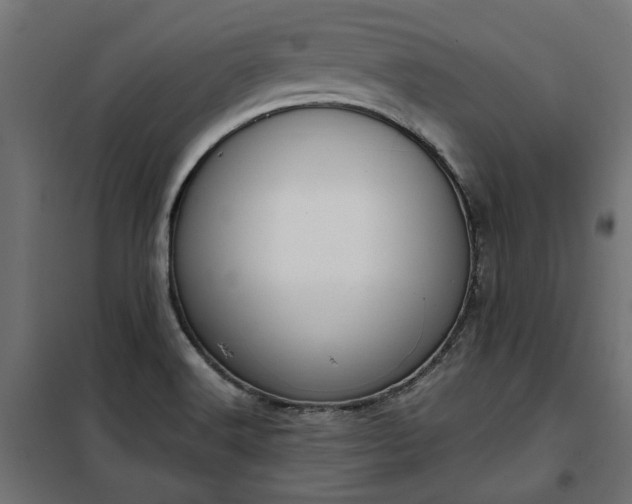 X0000100471516200806201555