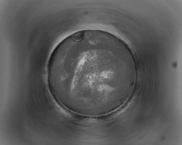 X0000100471517200806201555