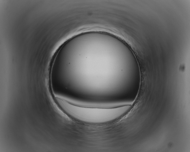 X0000100471518200806201555