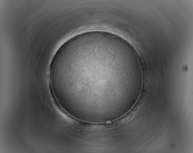 X0000100471519200806201555