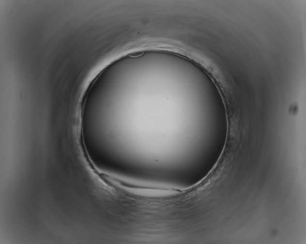 X0000100471520200806201555