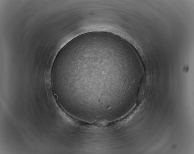 X0000100471521200806201555