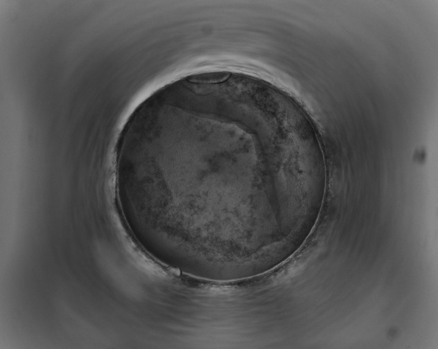 X0000100471522200806201555