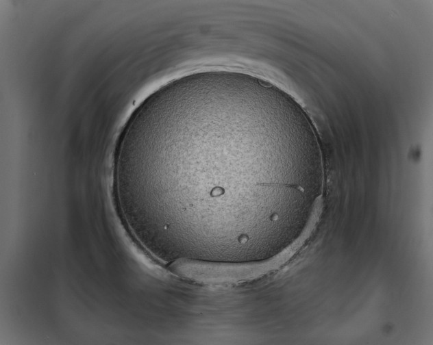 X0000100471523200806201555