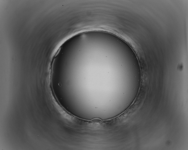 X0000100471524200806201555