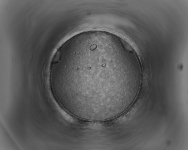 X0000100471525200806201555