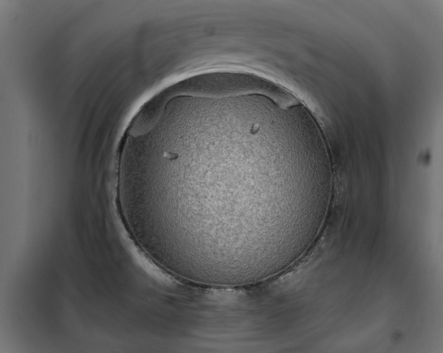 X0000100471526200806201555