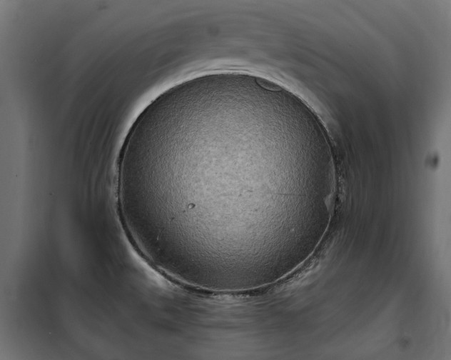 X0000100471527200806201555