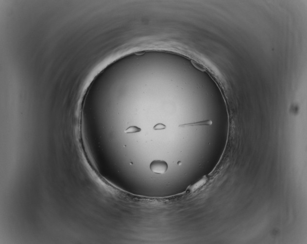 X0000100471528200806201555