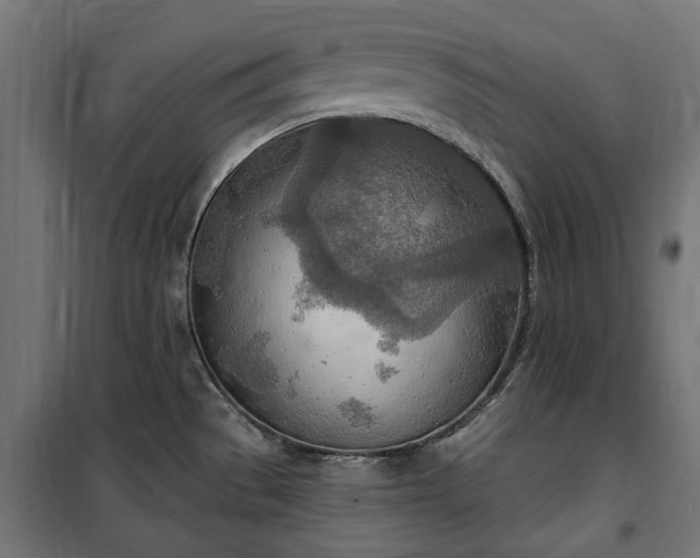 X0000100471529200806201555