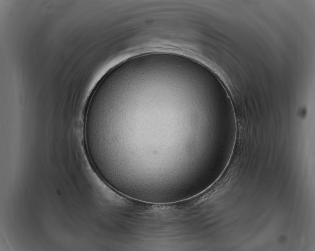 X0000100471531200806201555