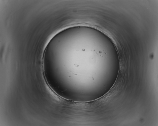 X0000100471532200806201555