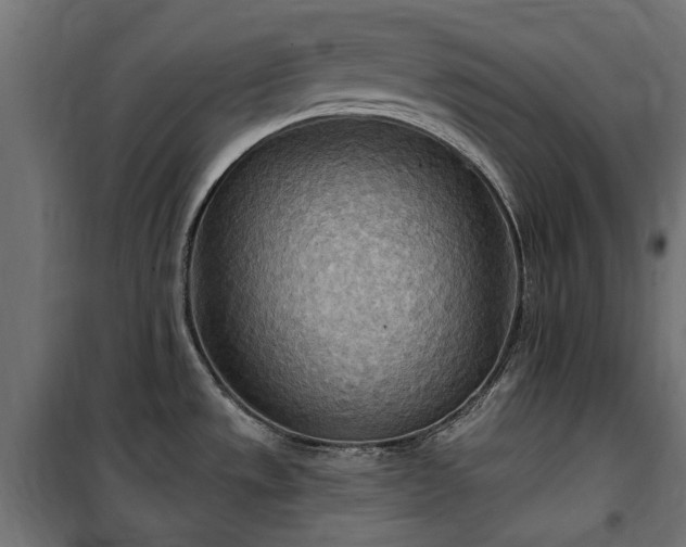 X0000100471533200806201555