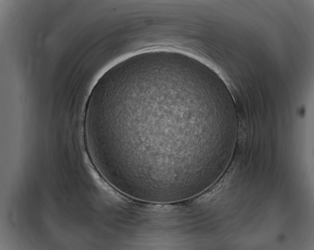 X0000100471534200806201555