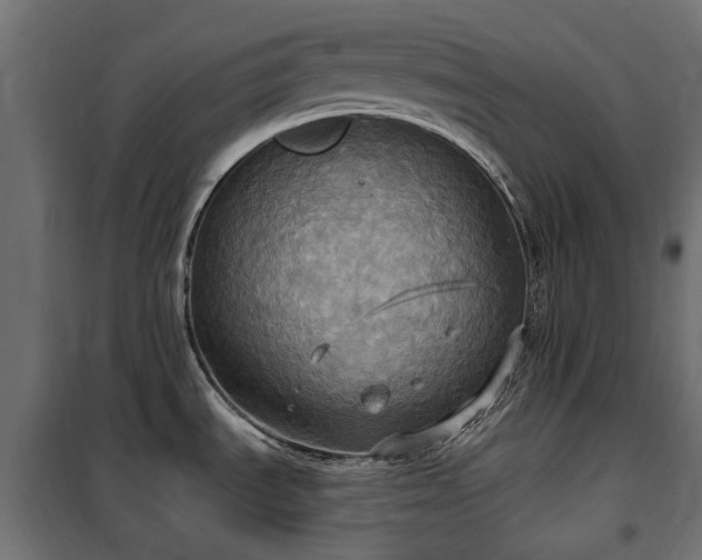 X0000100471535200806201555