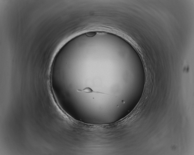 X0000100471536200806201555