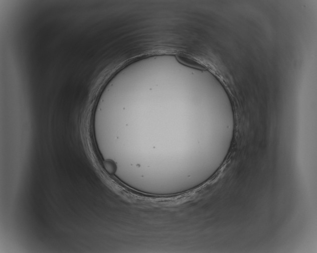 X0000100470001200806271151