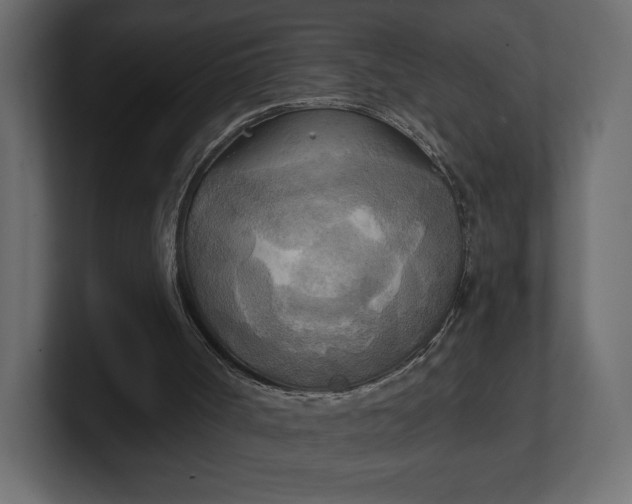 X0000100470002200806271151