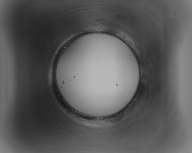 X0000100470012200806271151