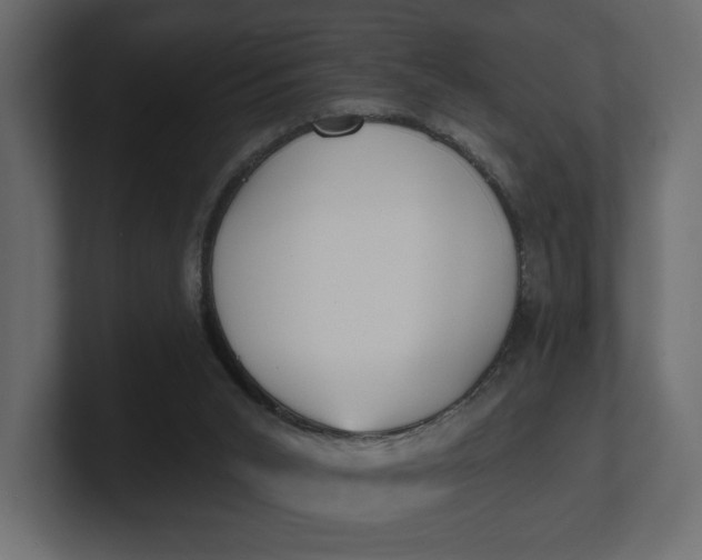 X0000100470015200806271151