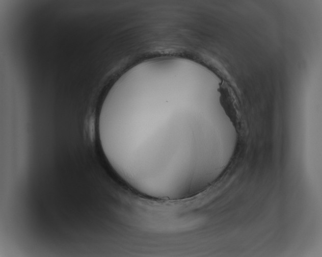 X0000100470019200806271151