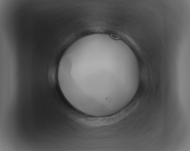 X0000100470023200806271151