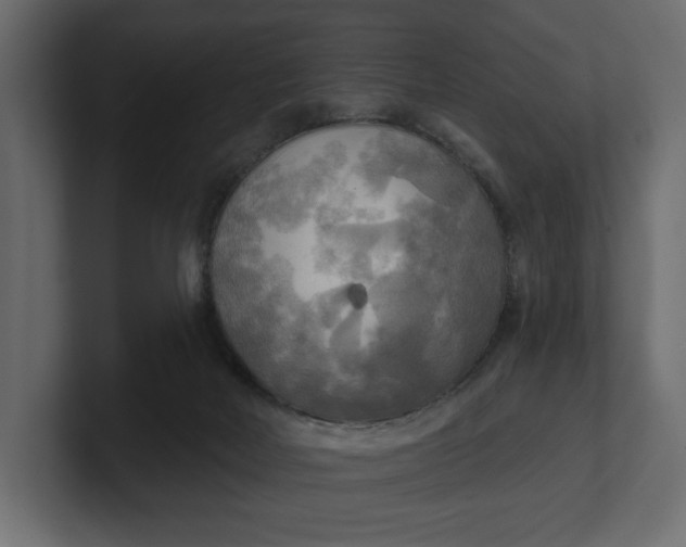 X0000100470026200806271151