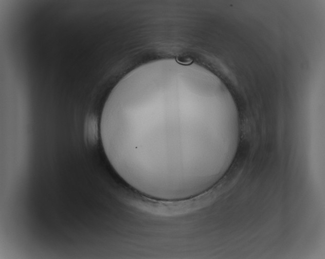 X0000100470027200806271151