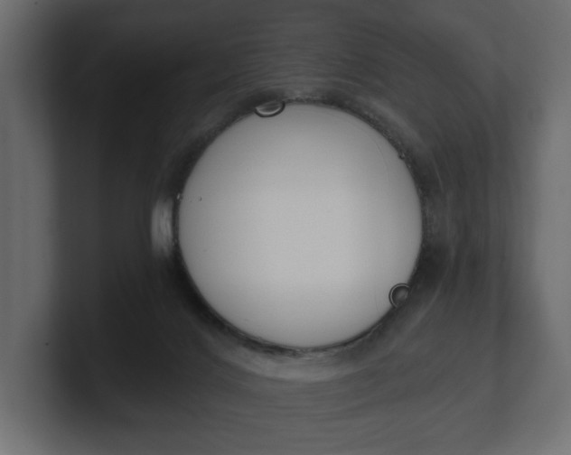 X0000100470028200806271151