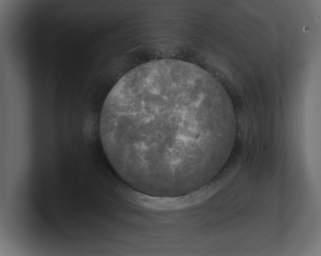 X0000100470034200806271151