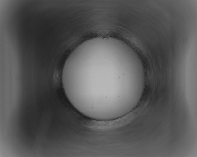 X0000100470037200806271150