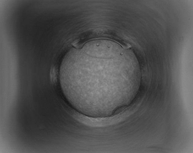 X0000100470038200806271150