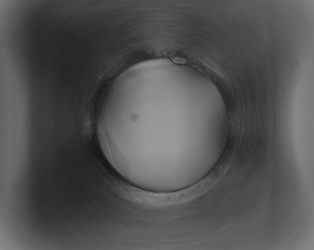 X0000100470039200806271150