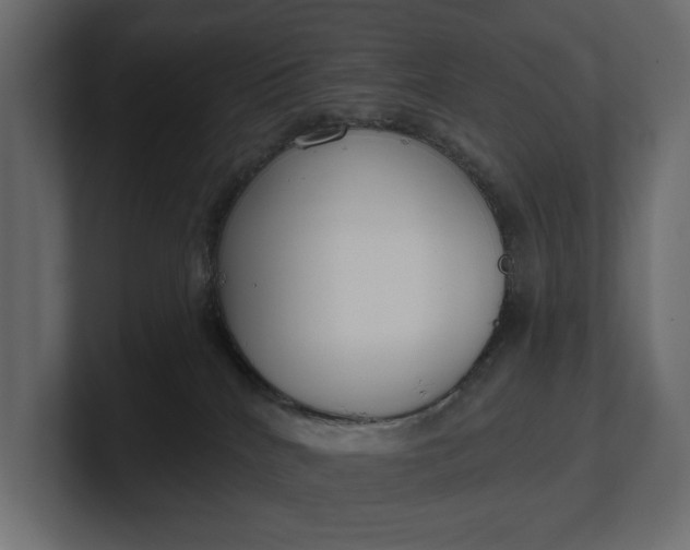 X0000100470040200806271150