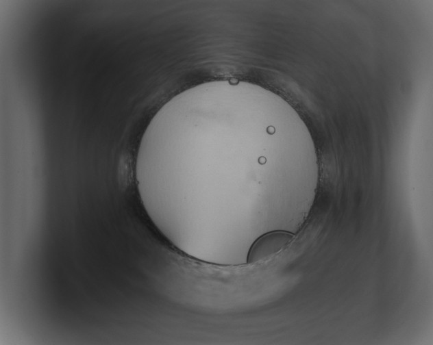 X0000100470043200806271150