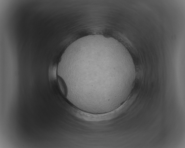 X0000100470047200806271150