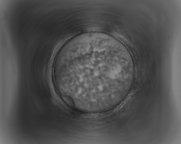 X0000100470049200806271150