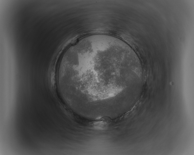 X0000100470050200806271150