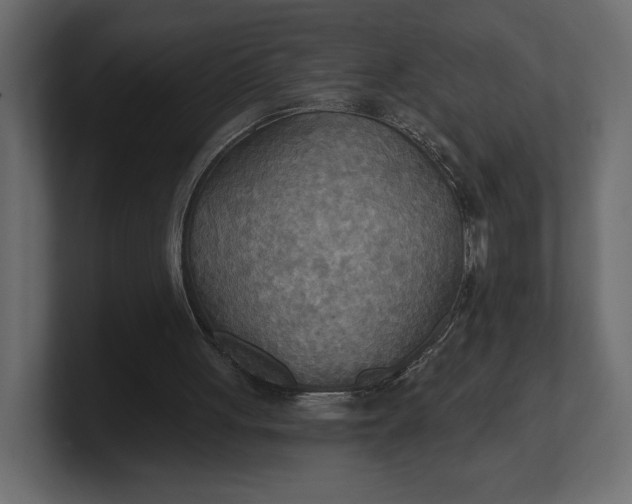 X0000100470051200806271150